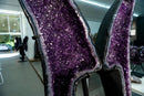 Sculptural Amethyst Geode Wings with Dense Sparkly Purple Druzy - E2D Crystals & Minerals