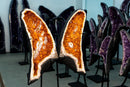 Citrine Geode Butterfly Wings with Orange Druzy Calcite - E2D Crystals & Minerals