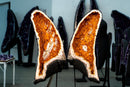 Citrine Geode Butterfly Wings with Orange Druzy Calcite - E2D Crystals & Minerals