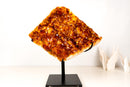 Madeira Citrine Cluster on Stand – Natural Brazilian Citrine Crystal - E2D Crystals & Minerals