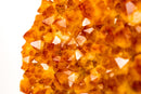 Tall Orange Citrine Cluster with Sparkling Druzy on Stand - E2D Crystals & Minerals