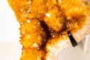 Citrine Crystal Cluster with Rare Stalactite Flowers - E2D Crystals & Minerals