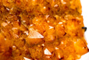 Golden Orange Citrine Cluster on Stand - E2D Crystals & Minerals
