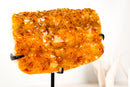 Golden Orange Citrine Cluster on Stand - E2D Crystals & Minerals
