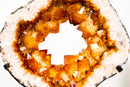 Rare Citrine Geode Portal with Crown Formation and AAA Golden - Orange Druzy - E2D Crystals & Minerals