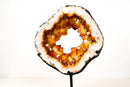 Rare Citrine Geode Portal with Crown Formation and AAA Golden - Orange Druzy - E2D Crystals & Minerals