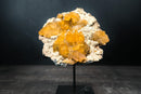 Rare Golden Calcite on Amethyst Cluster Plate - Brazilian Medium Cabinet Specimen, - E2D Crystals & Minerals