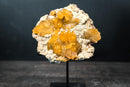 Rare Golden Calcite on Amethyst Cluster Plate - Brazilian Medium Cabinet Specimen, - E2D Crystals & Minerals