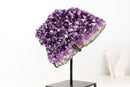 Large Saturated Rich Purple Amethyst Cluster with All - Natural Druzy - E2D Crystals & Minerals