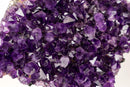 Large Saturated Rich Purple Amethyst Cluster with All - Natural Druzy - E2D Crystals & Minerals