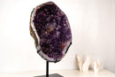 Large Brazilian Amethyst Geode Cave with Galaxy Druzy on Stand - E2D Crystals & Minerals