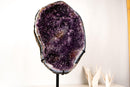 Large Brazilian Amethyst Geode Cave with Galaxy Druzy on Stand - E2D Crystals & Minerals