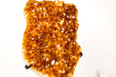 Tall Orange Citrine Cluster with Sparkling Druzy on Stand - E2D Crystals & Minerals