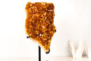 Tall Orange Citrine Cluster with Sparkling Druzy on Stand - E2D Crystals & Minerals