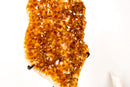Tall Orange Citrine Cluster with Sparkling Druzy on Stand - E2D Crystals & Minerals