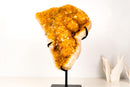 Citrine Crystal Cluster with Rare Stalactite Flowers - E2D Crystals & Minerals
