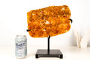 Golden Orange Citrine Cluster on Stand - E2D Crystals & Minerals
