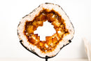 Rare Citrine Geode Portal with Crown Formation and AAA Golden - Orange Druzy - E2D Crystals & Minerals
