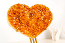 AAA - Quality Citrine Heart with Golden Orange Druzy - Large Raw Ethical Crystal (12.6 lb) - E2D Crystals & Minerals