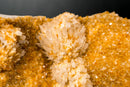 Collector - Grade Citrine Crystal Cluster with Calcite Rosette Flowers - (20 lb/19 In.) - E2D Crystals & Minerals