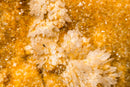 Collector - Grade Citrine Crystal Cluster with Calcite Rosette Flowers - (20 lb/19 In.) - E2D Crystals & Minerals