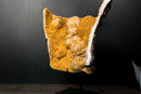 Collector - Grade Citrine Crystal Cluster with Calcite Rosette Flowers - (20 lb/19 In.) - E2D Crystals & Minerals