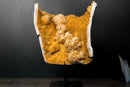 Collector - Grade Citrine Crystal Cluster with Calcite Rosette Flowers - (20 lb/19 In.) - E2D Crystals & Minerals