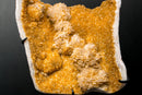 Collector - Grade Citrine Crystal Cluster with Calcite Rosette Flowers - (20 lb/19 In.) - E2D Crystals & Minerals
