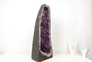 Tall Amethyst Cathedral Geode - Sculptural Formation with Purple Druzy (26 in) - E2D Crystals & Minerals