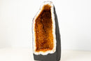 Citrine Geode Cave with Rare Natural Galaxy Druzy and Vibrant Golden - Orange Color (14 lb / 12 In) - E2D Crystals & Minerals