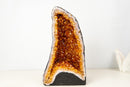 High - Grade Natural Citrine Geode with Rich Cognac - Orange Druzy (33 lb) - E2D Crystals & Minerals