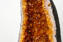 High - Grade Natural Citrine Geode with Rich Cognac - Orange Druzy (33 lb) - E2D Crystals & Minerals