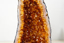 High - Grade Natural Citrine Geode with Rich Cognac - Orange Druzy (33 lb) - E2D Crystals & Minerals