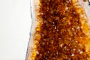 High - Grade Natural Citrine Geode with Rich Cognac - Orange Druzy (33 lb) - E2D Crystals & Minerals