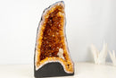 High - Grade Natural Citrine Geode with Rich Cognac - Orange Druzy and Calcite Inclusion (33 lb) - E2D Crystals & Minerals