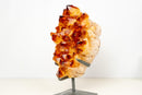 AAA - Grade Madeira Citrine Crystal Cluster with Large Sparkling Druzy on Custom Stand (20 lb / 15 In) - E2D Crystals & Minerals