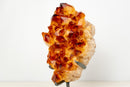 AAA - Grade Madeira Citrine Crystal Cluster with Large Sparkling Druzy on Custom Stand (20 lb / 15 In) - E2D Crystals & Minerals