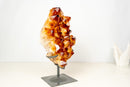 AAA - Grade Madeira Citrine Crystal Cluster with Large Sparkling Druzy on Custom Stand (20 lb / 15 In) - E2D Crystals & Minerals