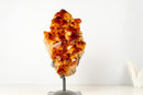 AAA - Grade Madeira Citrine Crystal Cluster with Large Sparkling Druzy on Custom Stand (20 lb / 15 In) - E2D Crystals & Minerals