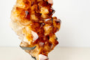 AAA - Grade Madeira Citrine Crystal Cluster with Large Sparkling Druzy on Custom Stand (20 lb / 15 In) - E2D Crystals & Minerals