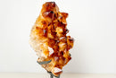 AAA - Grade Madeira Citrine Crystal Cluster with Large Sparkling Druzy on Custom Stand (20 lb / 15 In) - E2D Crystals & Minerals