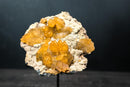 Rare Golden Calcite on Amethyst Cluster Plate - Brazilian Medium Cabinet Specimen, - E2D Crystals & Minerals
