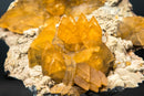 Rare Golden Calcite on Amethyst Cluster Plate - Brazilian Medium Cabinet Specimen, - E2D Crystals & Minerals