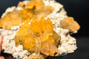 Rare Golden Calcite on Amethyst Cluster Plate - Brazilian Medium Cabinet Specimen, - E2D Crystals & Minerals