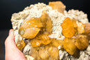 Rare Golden Calcite on Amethyst Cluster Plate - Brazilian Medium Cabinet Specimen, - E2D Crystals & Minerals