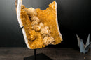 Collector - Grade Citrine Crystal Cluster with Calcite Rosette Flowers - (20 lb/19 In.) - E2D Crystals & Minerals