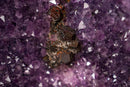 Tall Amethyst Cathedral Geode - Sculptural Formation with Purple Druzy (27 in / 58 Lb) - E2D Crystals & Minerals