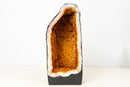 Citrine Geode Cave with Rare Natural Galaxy Druzy and Vibrant Golden - Orange Color (14 lb / 12 In) - E2D Crystals & Minerals