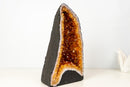 High - Grade Natural Citrine Geode with Rich Cognac - Orange Druzy (33 lb) - E2D Crystals & Minerals