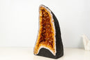 High - Grade Natural Citrine Geode with Rich Cognac - Orange Druzy (33 lb) - E2D Crystals & Minerals